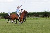 UKPA  NC Sat_1208